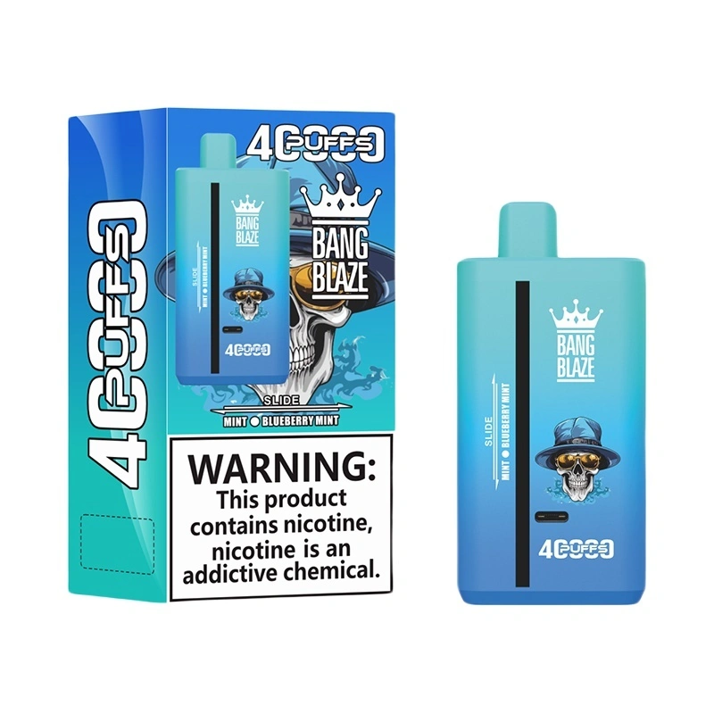 Bang Blaze 40000 Puffs 2 in 1 Disposable Vape Wholesale Mint & Blueberry Mint