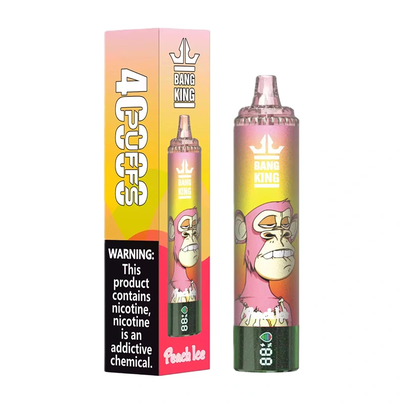 Bang King 40000 Puffs 2% 3% 5% Nic Disposable Vape Wholesale 10