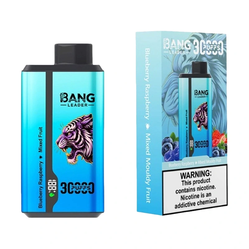 Bang Leader 30000 Puffs 2 in 1 Disposable Vape Wholesale 4