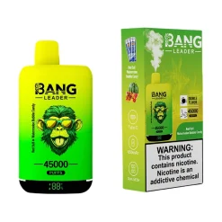 Bang Leader 45000 Puffs 2 in 1 Disposable Vape Wholesale