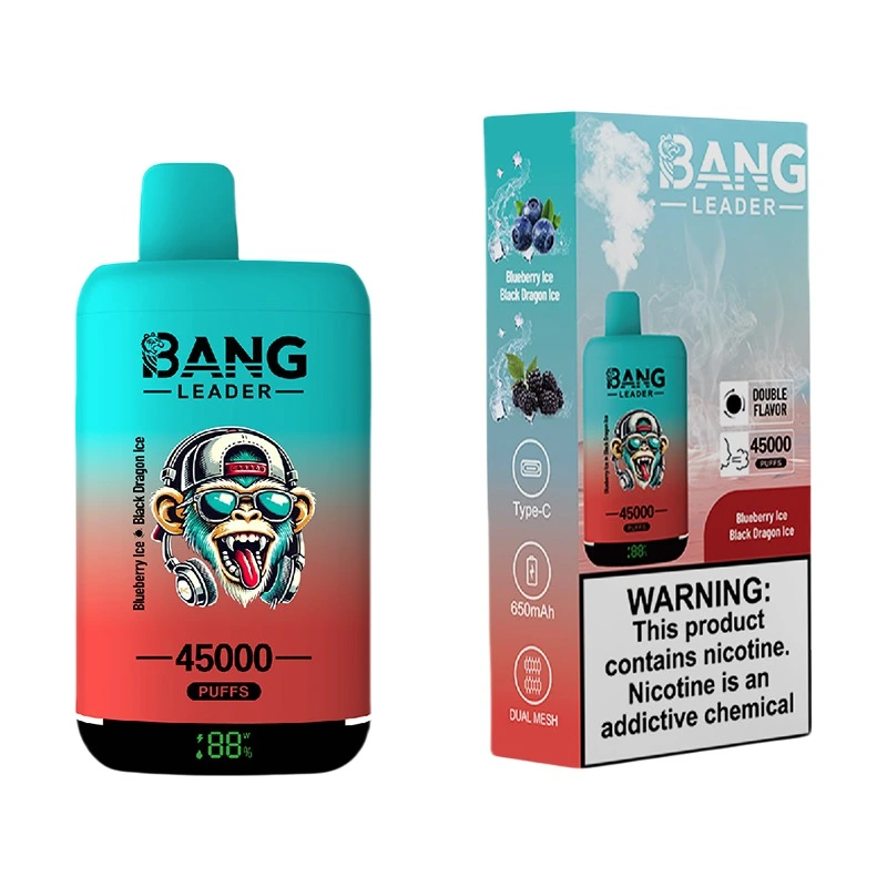 Bang Leader 45000 Puffs 2 in 1 Disposable Vape Wholesale Blueberry Ice & Black Dragon Ice