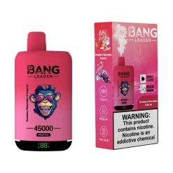 Bang Leader 45000 Puffs 2 in 1 Disposable Vape Wholesale Strawberry Watermelon & Grape Ice