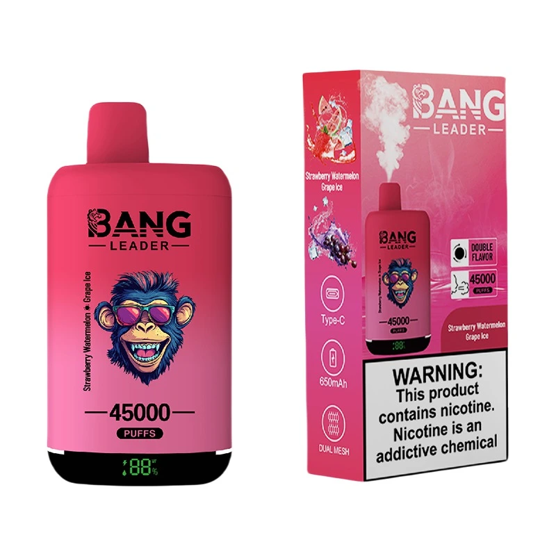 Bang Leader 45000 Puffs 2 in 1 Disposable Vape Wholesale Strawberry Watermelon & Grape Ice