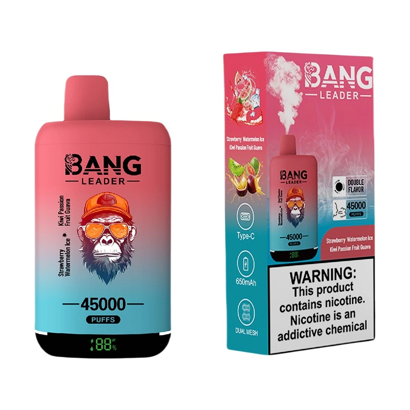 Bang Leader 45000 Puffs 2 in 1 Disposable Vape Wholesale Strawberry Watermelon & Kiwi Passion Fruit Guava
