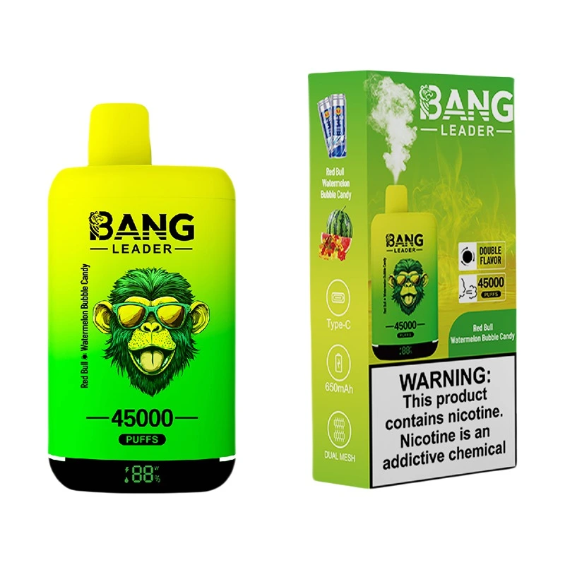 Bang Leader 45000 Puffs 2 in 1 Disposable Vape Wholesale
