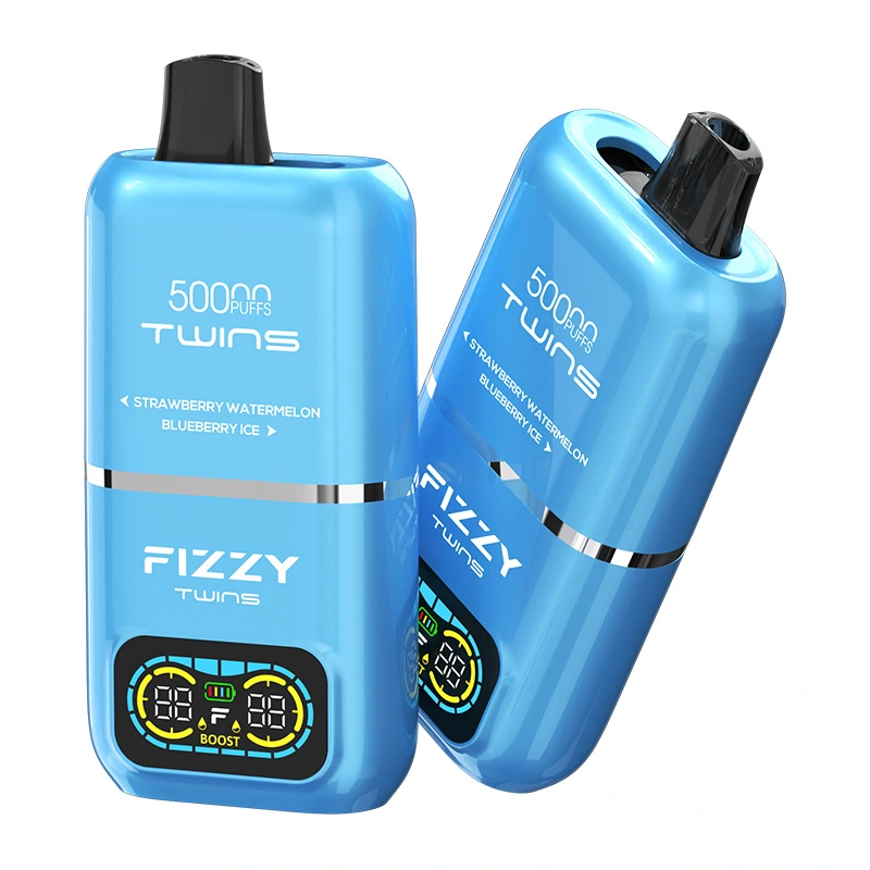 Fizzy Twins 50000 Puffs 2 in 1 Double Flavor Disposable Vape Strawberry watermelon & Blueberry ice