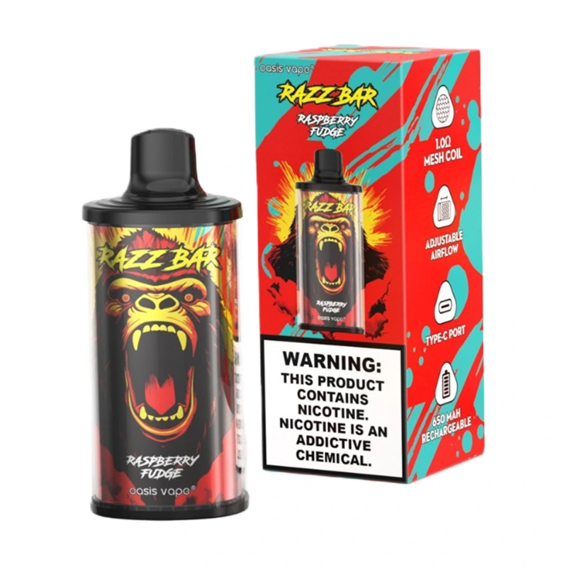 Razz Bar 15000 Puffs 2% 5% Nic Disposable Vape Wholesale raspberry fudge