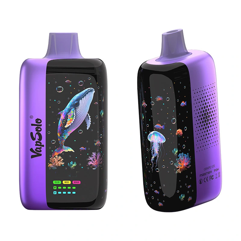 Vapsolo Master 70000 Puffs Disposable Vape Wholesale grape ice