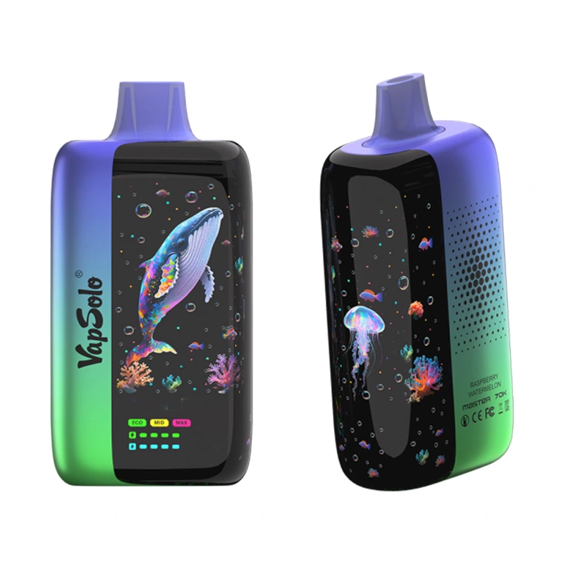 Vapsolo Master 70000 Puffs Disposable Vape Wholesale raspberry watermelon