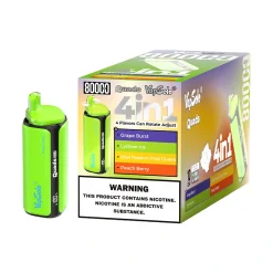Vapsolo Quads 80000 Puffs 4in1 Disposable Vape Wholesale Grape Burat Lychee Ice Kiwi Passion Fruit Guava Peach Berry