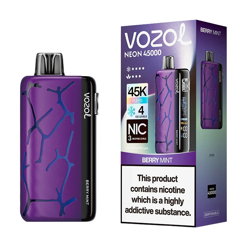 Vozol Neon 45K Puffs Disposable Vape Wholesale EU Warehouse Berry Mint
