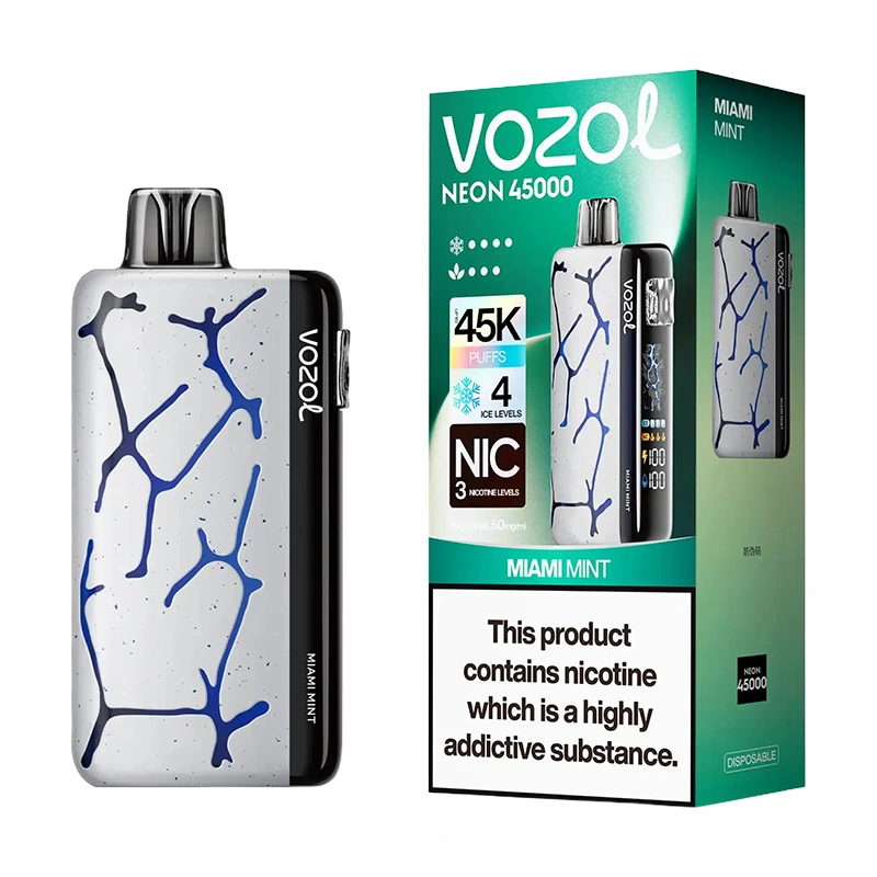 Vozol Neon 45K Puffs Disposable Vape Wholesale EU Warehouse Miami Mint