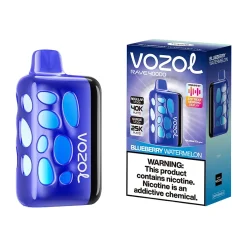 Vozol Rave 40K Puffs Disposable Vape Wholesale EU Warehouse Blueberry Watermelon