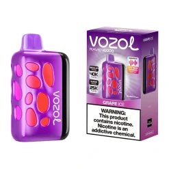 Vozol Rave 40K Puffs Disposable Vape Wholesale EU Warehouse Grape ice