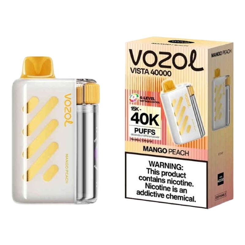 Vozol Vista 40K Puffs Disposable Vape Wholesale EU Warehouse Mango Peach