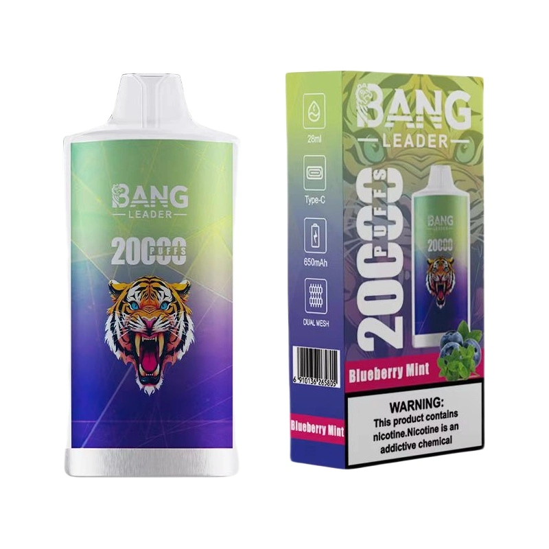 Bang Leader 20000 Puffs Disposable Vape Wholesale Blueberry Mint