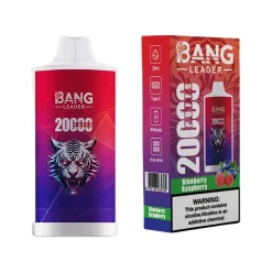 Bang Leader 20000 Puffs Disposable Vape Wholesale Blueberry Raspberry