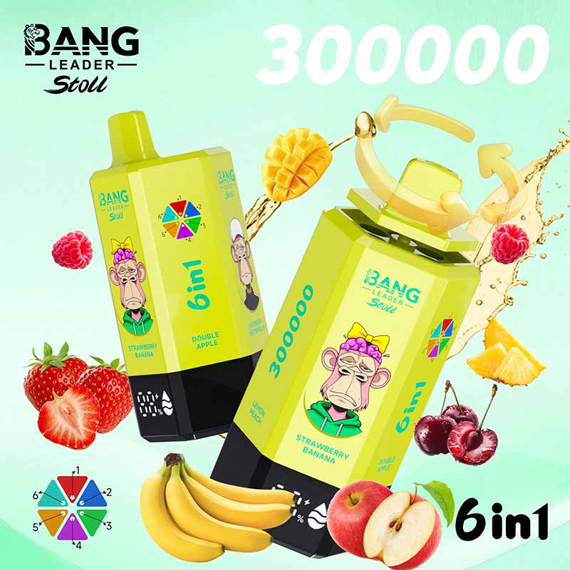 Bang Leader Stoll 300K 6 in 1 300000 Puffs Disposable Vape 1