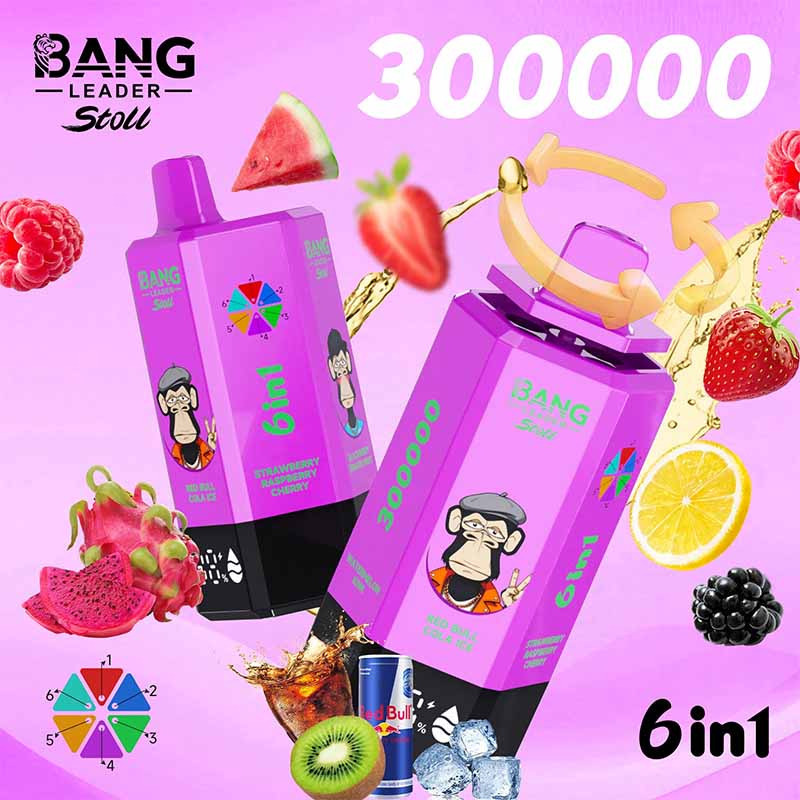 Bang Leader Stoll 300K 6 in 1 300000 Puffs Disposable Vape 2