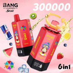 Bang Leader Stoll 300K 6 in 1 300000 Puffs Disposable Vape 3