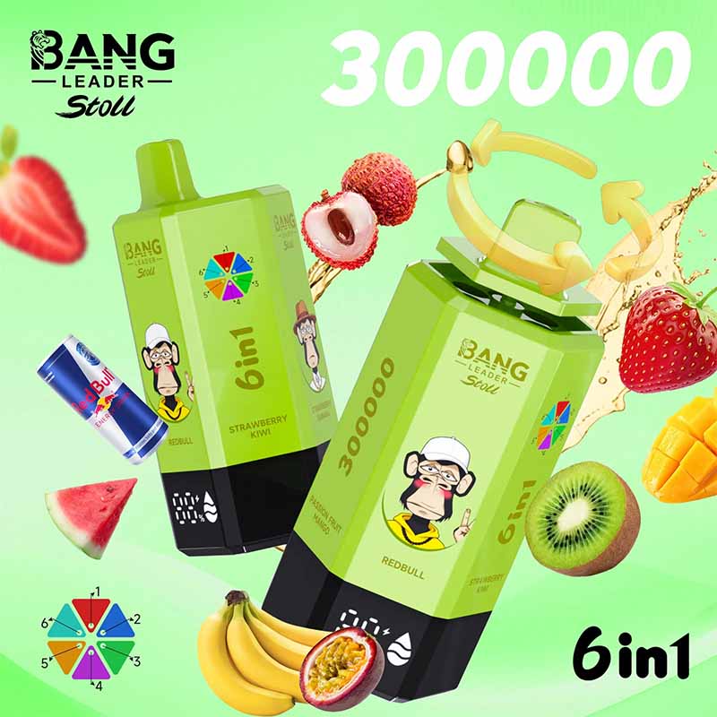 Bang Leader Stoll 300K 6 in 1 300000 Puffs Disposable Vape 5