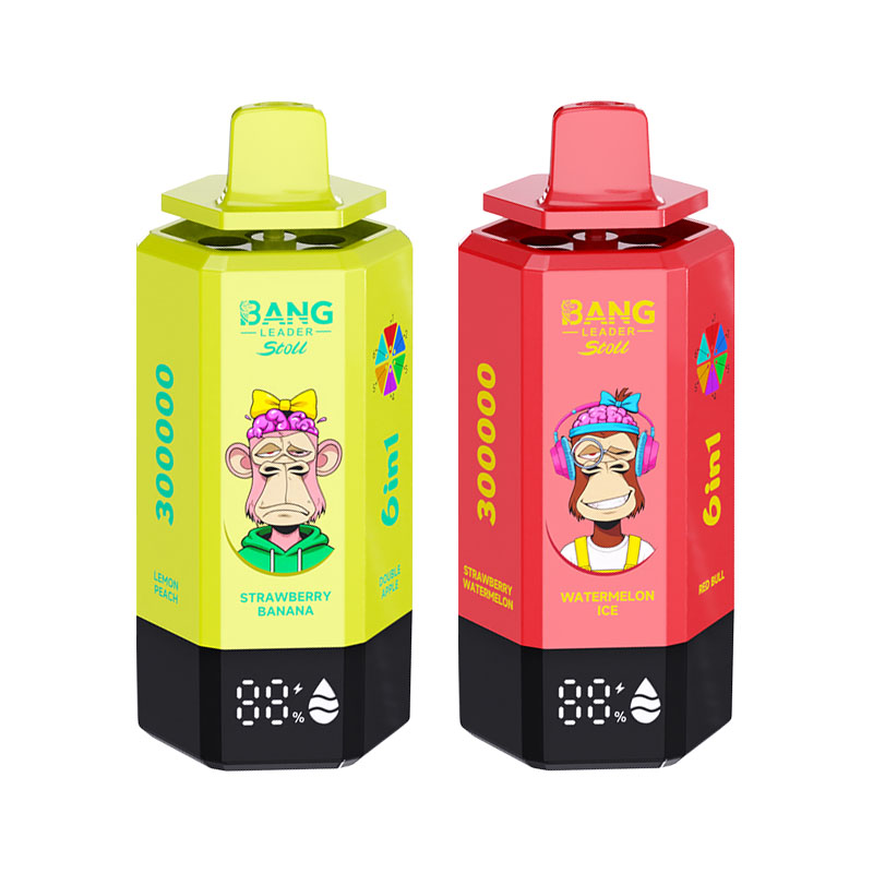 Bang Leader Stoll 300K 6 in 1 300000 Puffs Disposable Vape