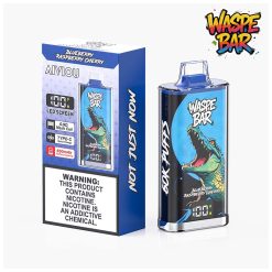 10 Blueberry Raspberry Cherry Waspe Bar 60K 60000 Puffs Disposable Vape Wholesale
