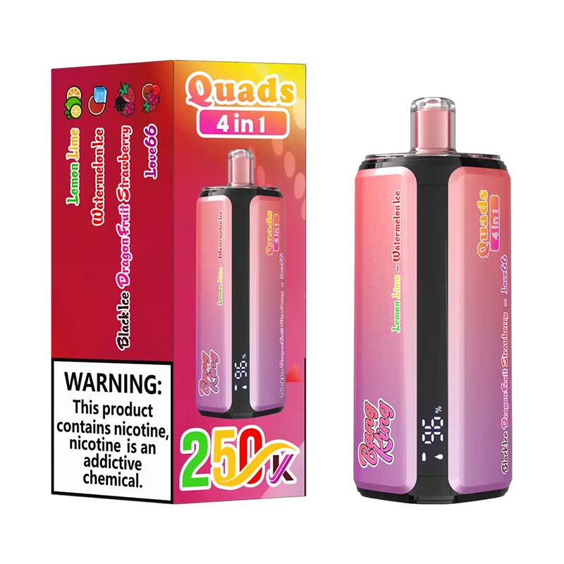 01 Lemon Lime Watermelon Ice Bang King 250K Puffs 4 in 1 Disposable Vape Wholesale