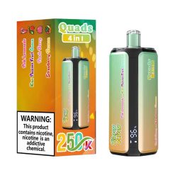 04 Pink Lemonade Bang King 250K Puffs 4 in 1 Disposable Vape Wholesale