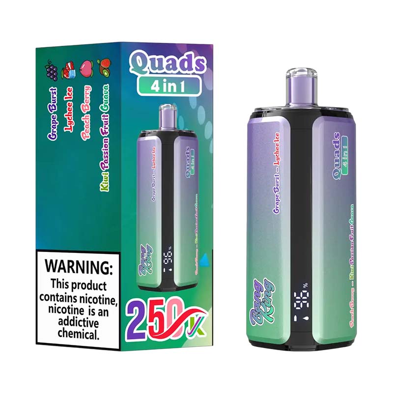 05 Grape Burst Bang King 250K Puffs 4 in 1 Disposable Vape Wholesale