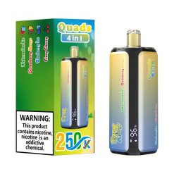 07 Watermelon Ice Bang King 250K Puffs 4 in 1 Disposable Vape Wholesale