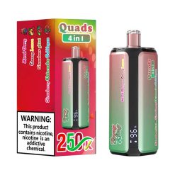08 Mixed Berry Bang King 250K Puffs 4 in 1 Disposable Vape Wholesale