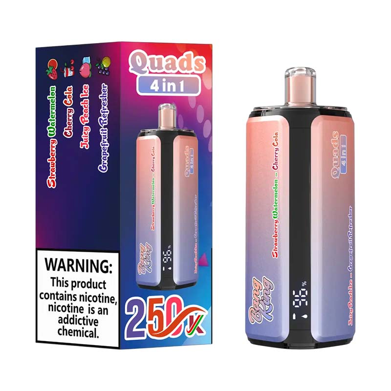 09 Strawberry Watermelon Bang King 250K Puffs 4 in 1 Disposable Vape Wholesale