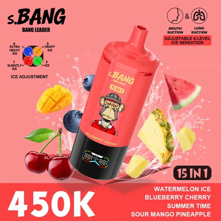 10 Watermelon Ice & Blueberry Cherry Bang Leader 450K Puffs 15 in 1 Disposable Vape Wholesale
