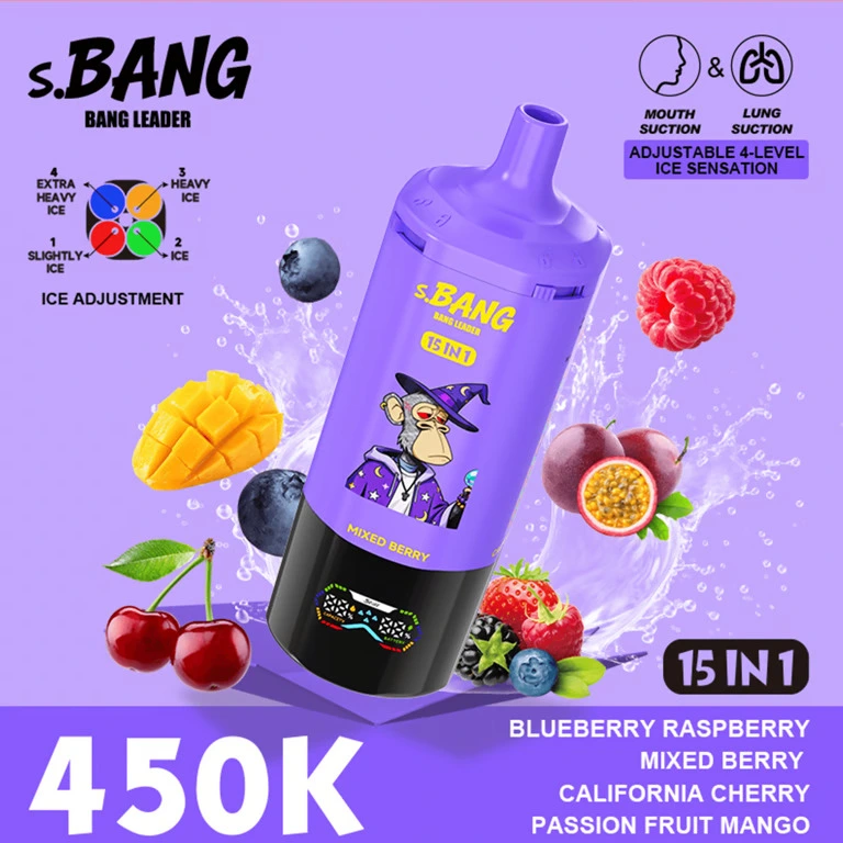 11 Blueberry Raspberry & Mixed Berry Bang Leader 450K Puffs 15 in 1 Disposable Vape Wholesale